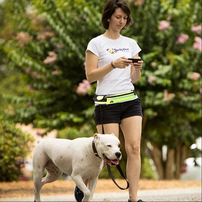 Red hands-free dog leash set with a waist belt, zippered phone pocket, and a black shock-absorbing bungee leash. - Image 3