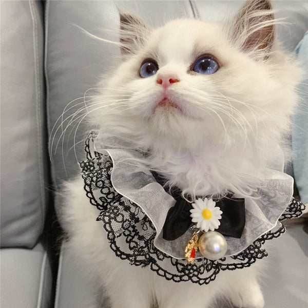 Pañuelo Encaje Hada Negra para Mascotas