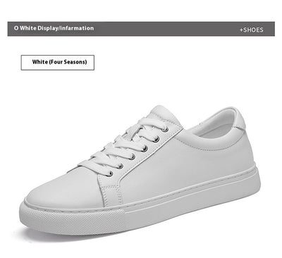 Zapatos Casuales de Cuero Perforado Premium - Image 26