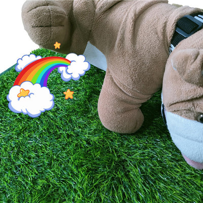 Tapete Entrenador de Pasto Artificial para Perros - Lavable Interior y Exterior - Image 8