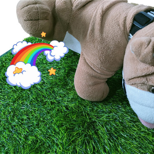 Tapete Entrenador de Pasto Artificial para Perros - Lavable Interior y Exterior - Image 8