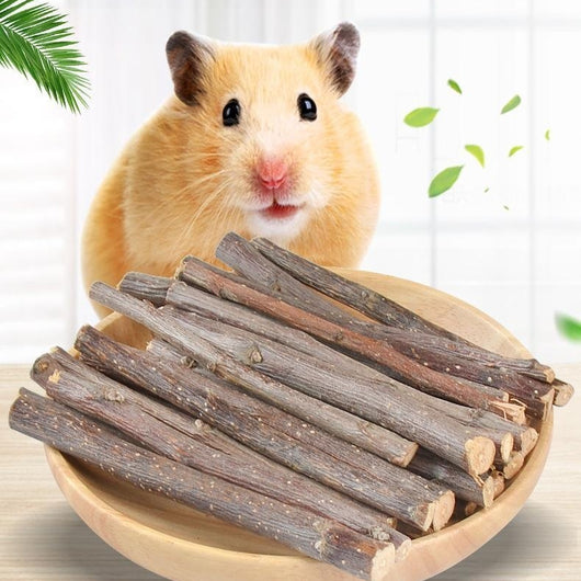 Juguete Masticable Ramita Totoro - Snacks Secados para Hámster y Roedor