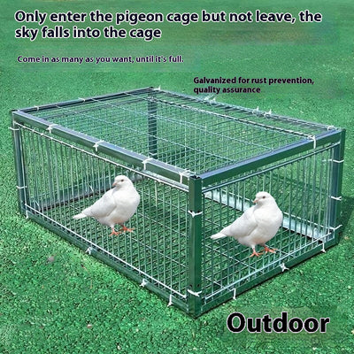 Black wire pigeon cage with a flat top and bottom, designed for one-way entry, shown on a gray surface. - Image 4