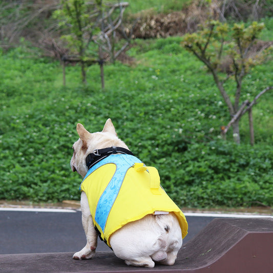 Chaleco Salvavidas para Perros con Contraste de Colores Brillantes