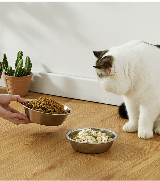 Comedero de Acero Inoxidable para Perros y Gatos - Antideslizante y Fácil de Limpiar - Image 11