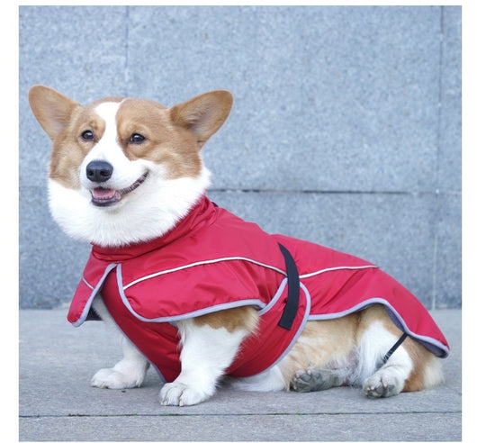 Abrigo Térmico Protector para Perros - Image 18