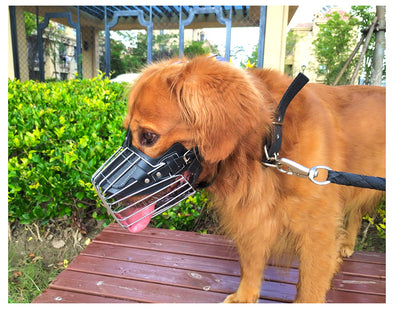 Bozal Ajustable para Perros con Correas Suaves - Protección Segura Anti-mordidas - Image 10