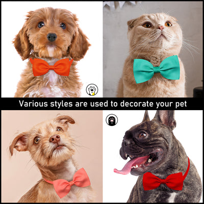 Moño Ajustable para Gatos y Perros - Accesorios para Mascotas - Image 33