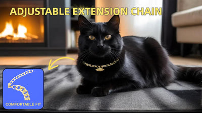 Collar de Cadena Dorada para Gatos y Perros con Cascabel - Joyería Ajustable Ligera - Image 8