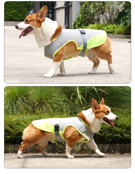 Chaleco Refrigerante para Perros - Ropa Transpirable Antiinsolación - Image 8