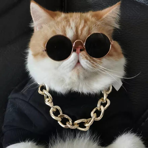 Gorro León para Gatos - Disfraz Divertido y Adorable para Mascotas