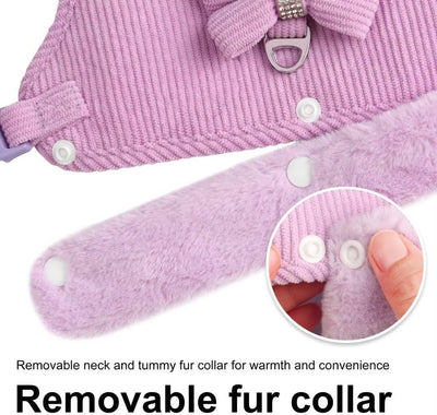 Arnés Cálido para Perro Pequeño con Correa y Moño - Acolchado Suave con Cuello de Pelaje Removible - Image 3