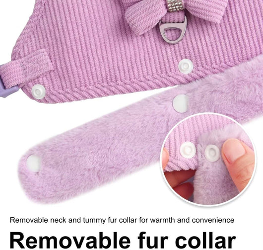 Arnés Cálido para Perro Pequeño con Correa y Moño - Acolchado Suave con Cuello de Pelaje Removible - Image 3