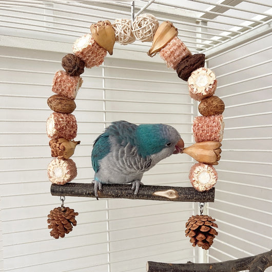 Natural wooden parrot swing with an arched top made of corn cobs, seed pods, and woven balls, featuring a log perch and two hanging pine cones. - Image 5