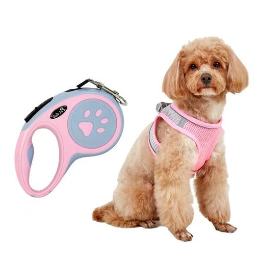 Small light brown poodle wearing an orange mesh dog vest harness with reflective trim and a retractable leash. - Image 20