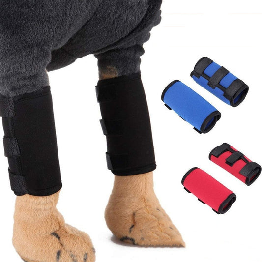 Protectores de Neopreno para Rodillas de Perros
