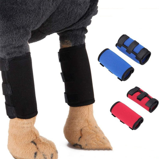 Protectores de Neopreno para Rodillas de Perros