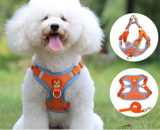 Arnés Chaleco para Perro Pequeño con Reflectante - Image 7