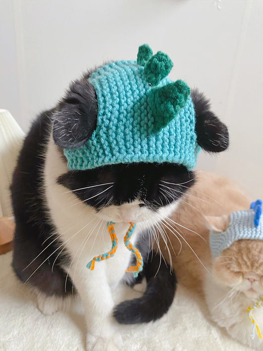 Gorro Tejido Dinosaurio para Gatos y Mascotas Pequeñas - Image 14