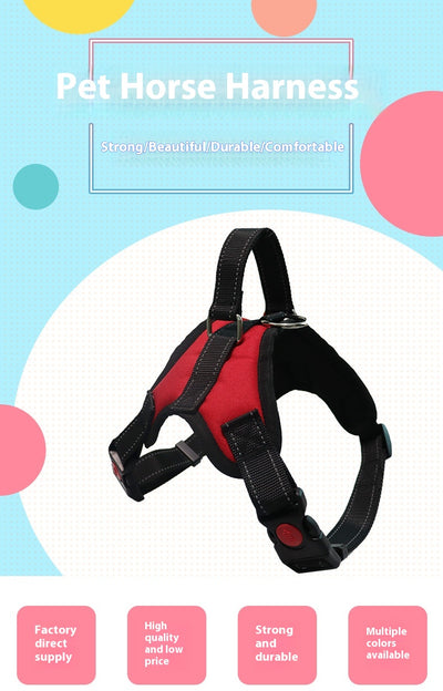 Blue and black pet harness with reflective stitching, a top handle, and red quick-release buckles. - Image 28