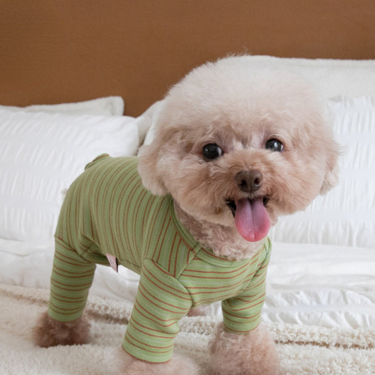 Ropa Térmica para Perros - Abrigo de Cuatro Patas - Image 14