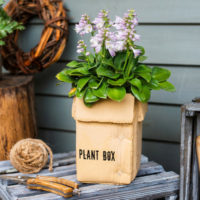 Maceta Creativa de Papel Cemento para Plantas de Interior y Balcón - Image 3