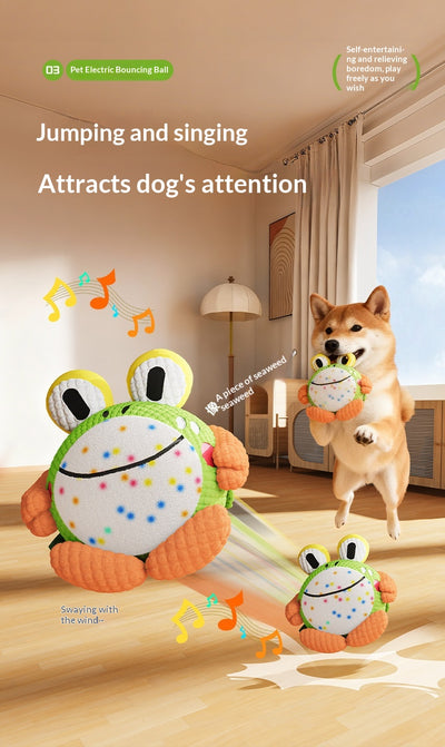 Juguete Interactivo Antiaburrimiento para Perros - Image 12