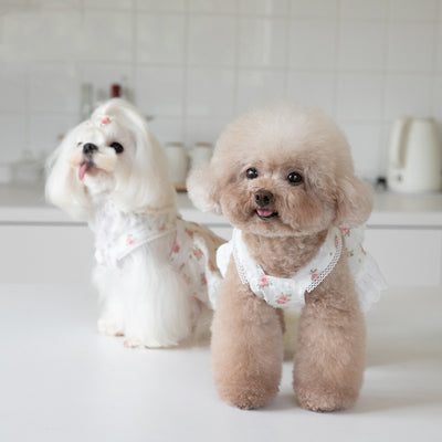 Falda para Perro con Estampado Floral Pueblerino y Encaje