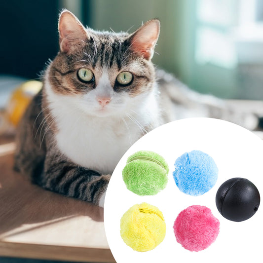 Four colorful plush electric rolling pet toy balls in pink, yellow, green, and blue, with a kitten playing with one.