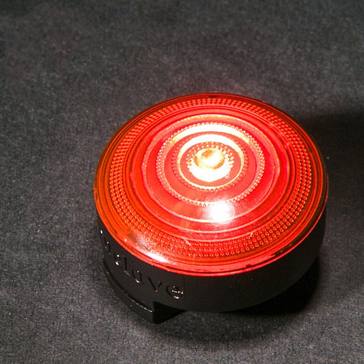 Collar LED Luminoso para Perros - Seguridad Nocturna - Image 12