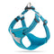 Lake Blue Chest strap