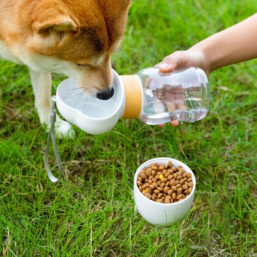 Botella Portátil para Perros - Comedero y Bebedero Plegable para Paseos - Image 10