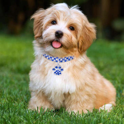 Collar de Diamantes para Mascotas - Joya Elástica Multicolor para Gatos y Perros - Image 10