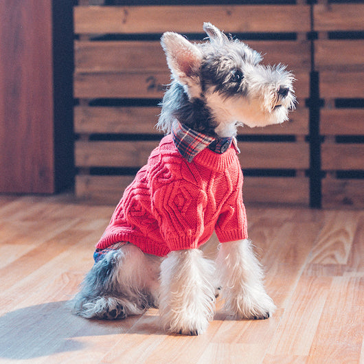 Suéter Abrigador para Perros - Ropa de Otoño e Invierno - Image 9