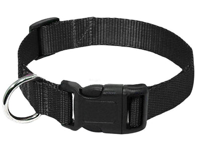 Correa para Perro de Nylon Resistente - Image 4