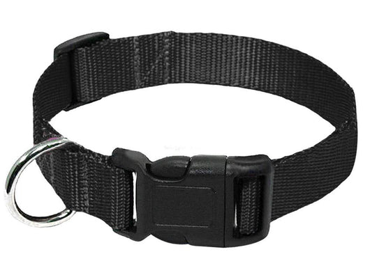 Correa para Perro de Nylon Resistente - Image 4