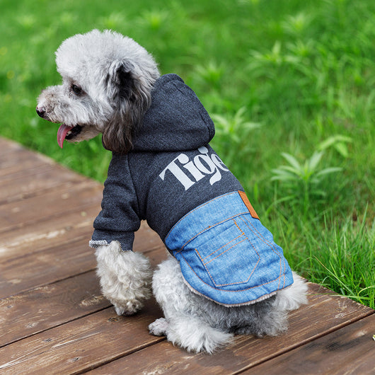 Chaleco Térmico para Mascotas - Abrigo Grueso para Otoño e Invierno - Image 35