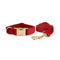 Cachorro Caneta Cachorro Corda4 PP