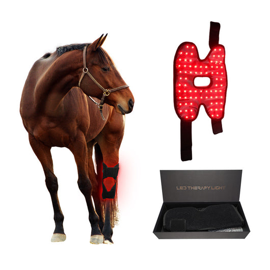 Dispositivo Portátil de Fototerapia para Recuperación de Espalda y Rodillas en Caballos - Image 24