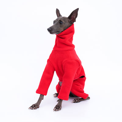 Ropa Térmica Gruesa para Perros - Image 5