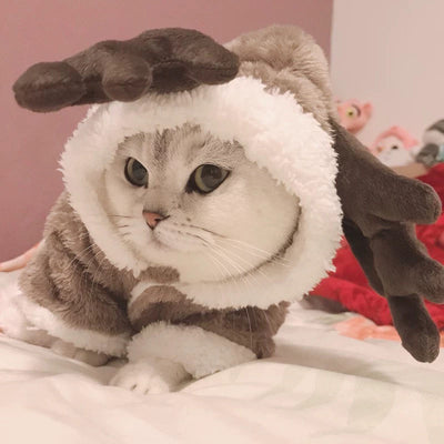 Ropa de Abrigo para Mascotas - Diseños Navideños y Otoño Invierno - Image 6