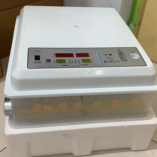 Incubadora Inteligente Automática para el Hogar - Image 12