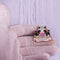 Broche Mapache Adorable para Mujeres