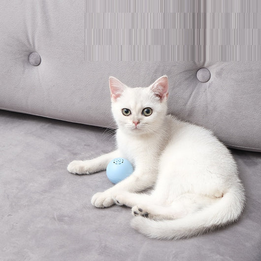 Pelota Musical Interactiva para Gatos - Sonidos y Texturas - Image 14