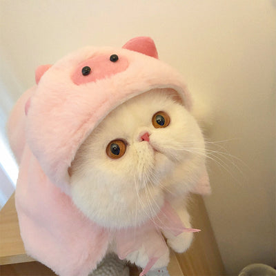 Ropa de Gato Estilo Urbano para Otoño e Invierno - Image 5