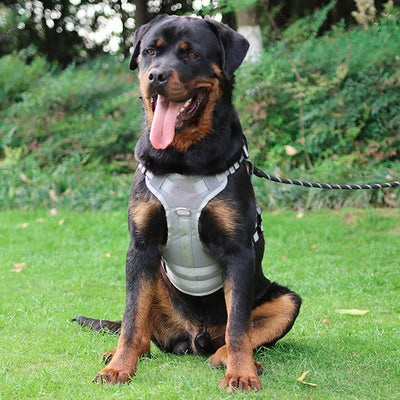 Chaleco Táctico para Mascotas con Arnés de Carga
