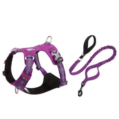 Arnés de Tracción para Perros Grandes con Correa de Paseo - Image 4