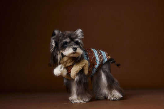Chaleco Fair Isle para Mascotas Schnauzer Bichon Teddy - Image 13