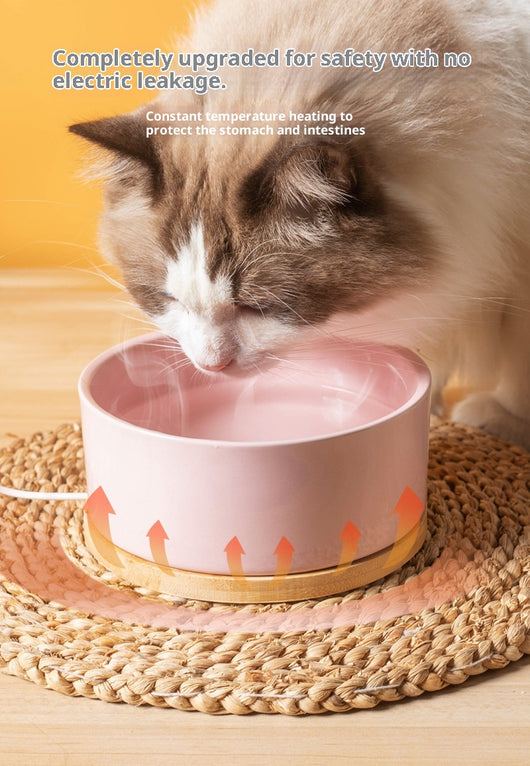 Bebedero Térmico de Cerámica para Gatos con Temperatura Constante - Image 12