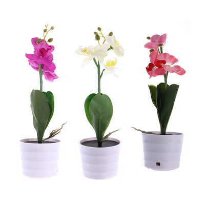 Lámpara Solar Orquídea con Mariposas Decorativas - Image 8